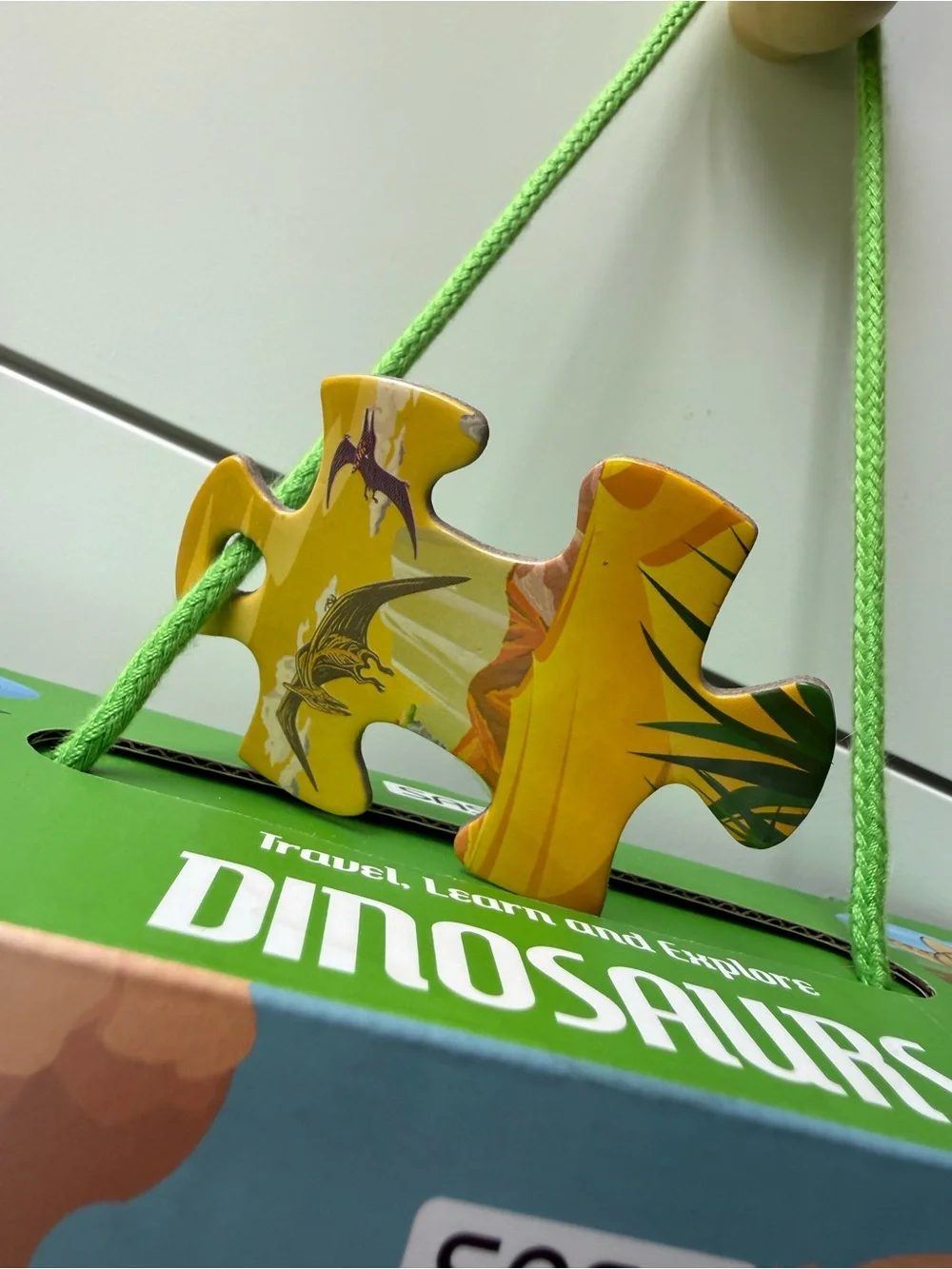 Sassi dinosaur puzzle and book set